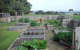 Arabella Country House